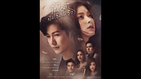 The fallen leaf thai drama: Why Nira Aunt hates nira mother and child.