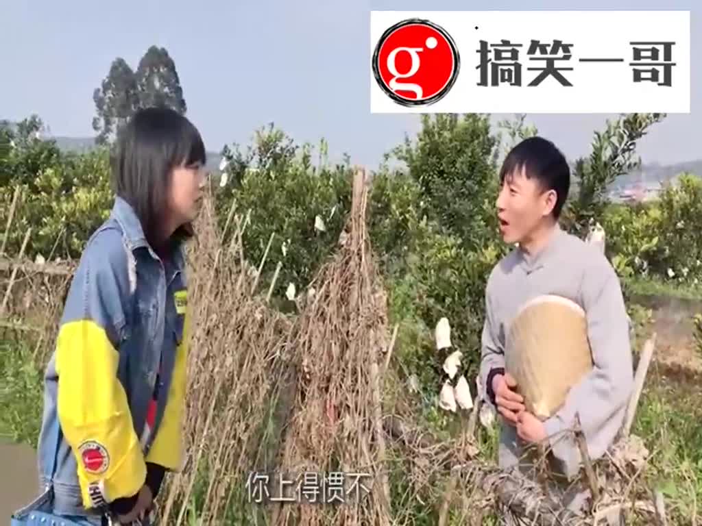 Sichuan dialect: Beautiful women look for toilets in rural areas. Young men keep changing the topic. Beautiful women are fast fainting.