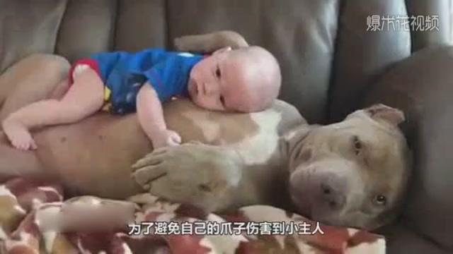 The dog was sleeping and the baby lay down on him. The dog's expression was so unexpected.