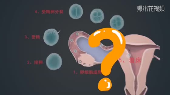 How difficult is it for an egg to meet a sperm? Animation tells you
