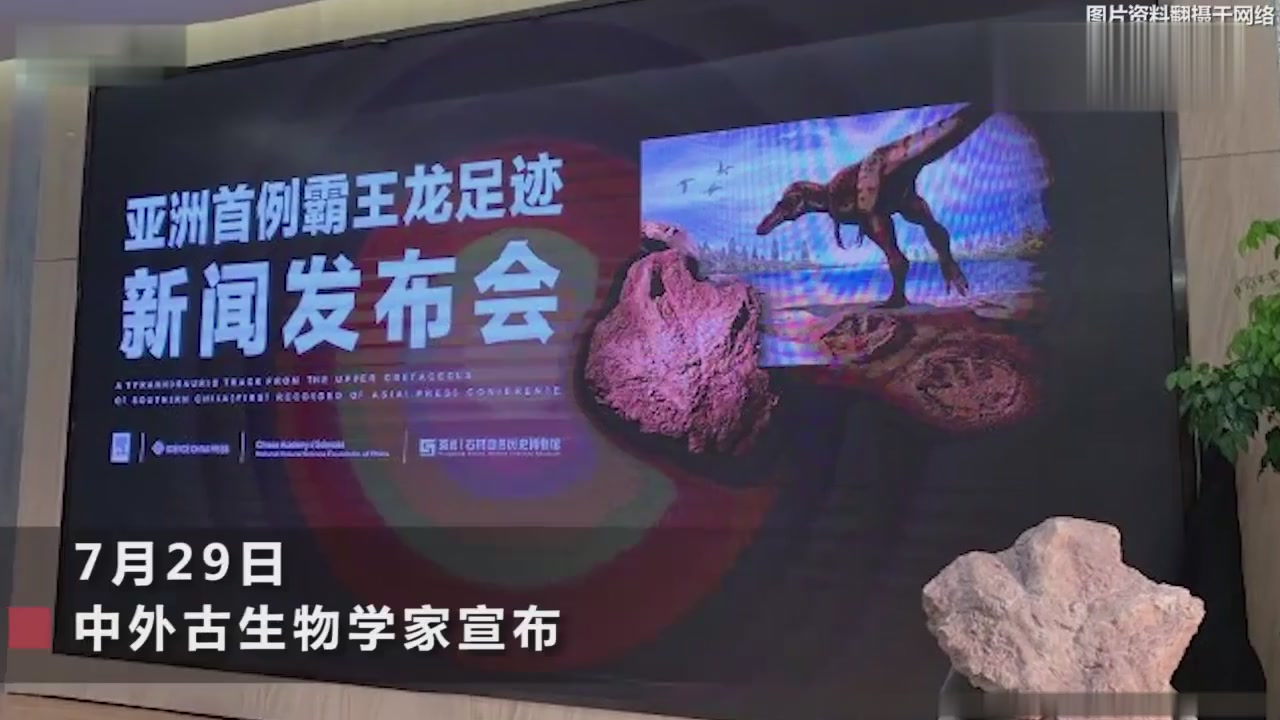 Tyrannosaurus Rex Facts:China finds the first footprint of Tyrannosaurus Rex in Asia