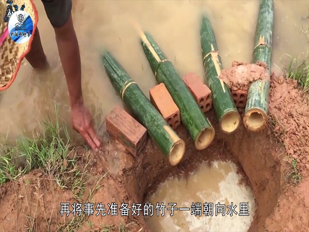 New foreign fishing methods, with five bamboo can dig fish, but also full load and return.