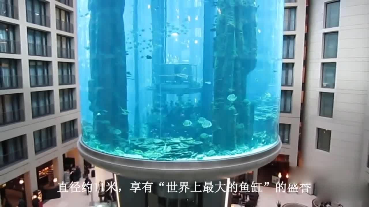 The world's largest aquarium costs 96 million yuan, and its interior design is quite luxurious!