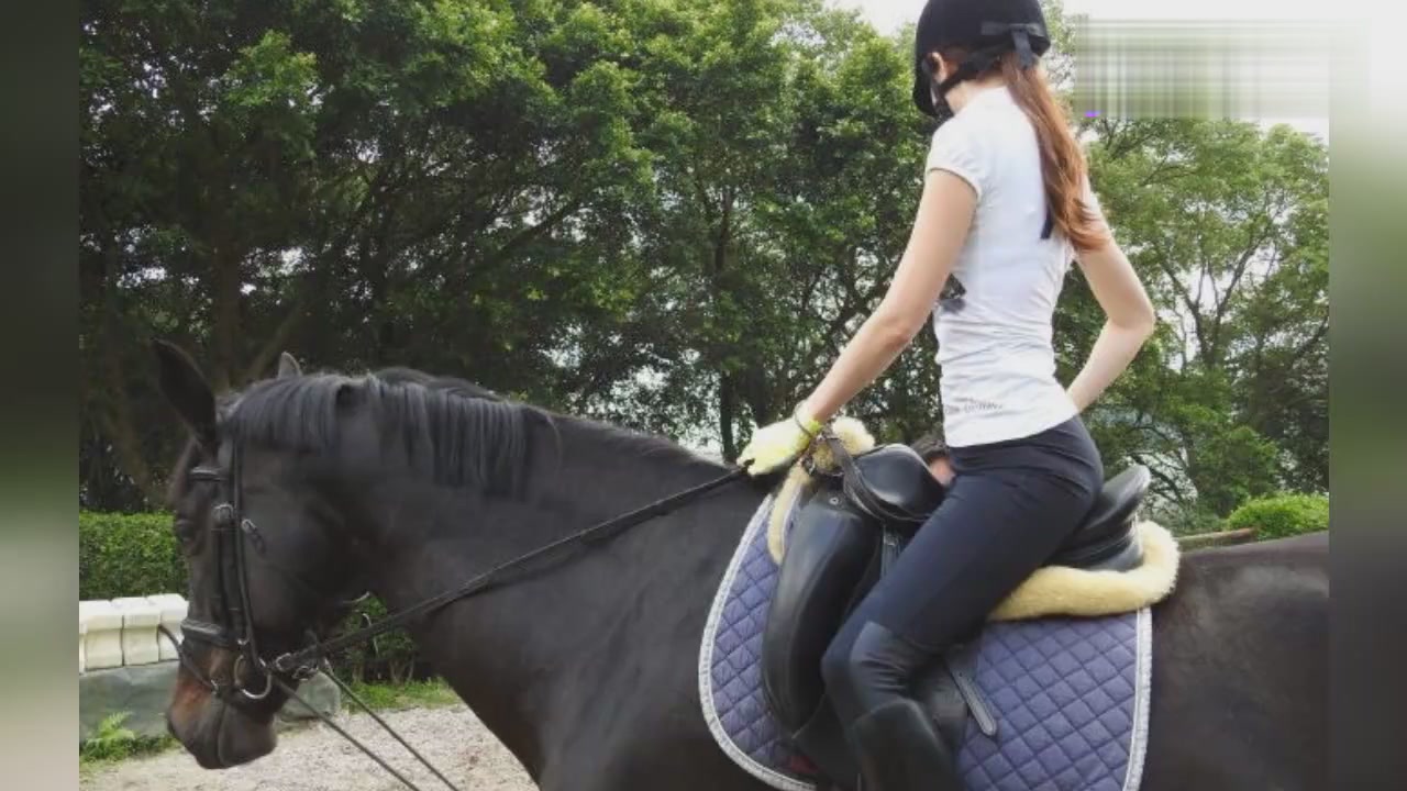 stephanie siao age 51,a horse riding a girl