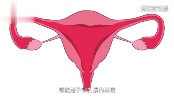 What problems in the uterus can affect pregnancy? After watching it, I was shocked.