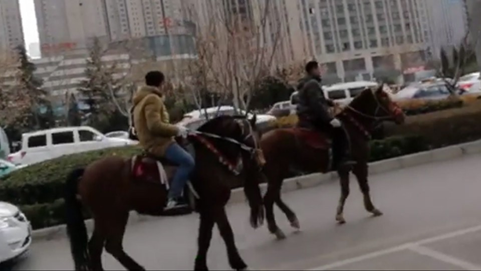 Luoyang men ride horses and go shopping! Civilian police are also bewildered