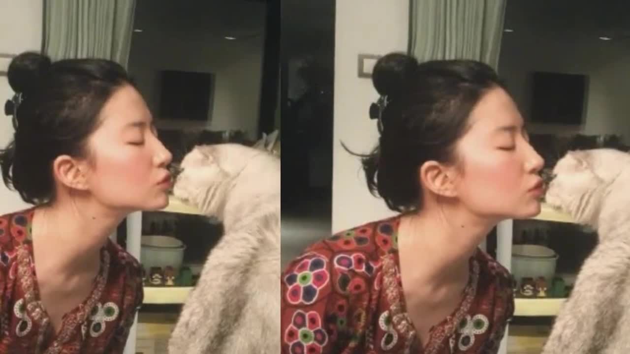 Liu Yifei kissed a cat in the sun and was suspected of having hyaluronic acid on his chin. It turned out that the P chart was too heavy and the table was crooked.