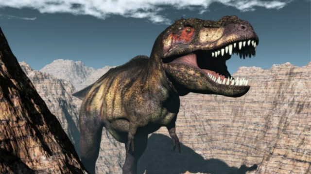 Asian Tyrannosaurus Rex Footprint, Bring you back to the incubator 100 million years ago