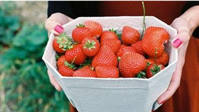 The pesticide residue is nearly 100%! Strawberry wins the 