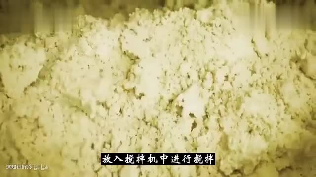 Do you feel sanitary after watching the whole process of instant noodle production?