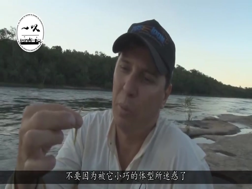 More terrible fish than piranha, "killing" in the invisible, netizens: it is hard to escape China to eat.
