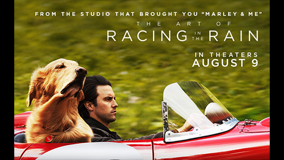 The Art of Racing in the Rain review: dogs, cars, tears.
