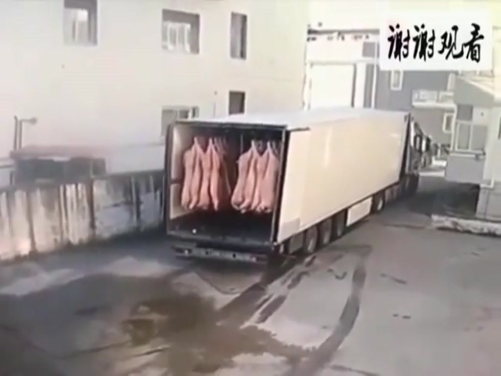 When the truck unloaded the pork, a scene suddenly happened and the workers were confused.