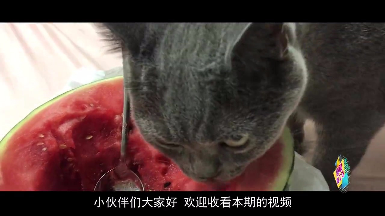 Having eaten a piece of watermelon, the old man died unfortunately? What on earth is this?