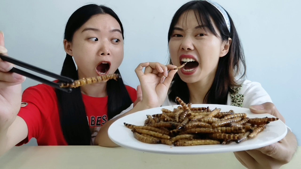 Girls enjoy eating "fried barley worms" with delicious nutrition and crisp fragrance, which frightens their sisters to cover their eyes.