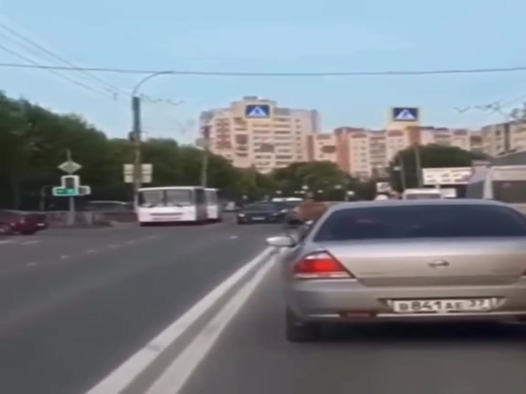 A tiger runs out of its owner's car on a Russian highway, hard enough.