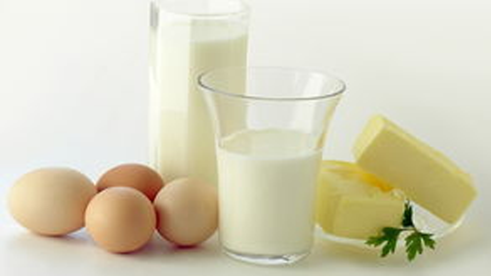 Breakfast a boiled egg, 10 days of natural thin 2 kg (electric pot boiled eggs)