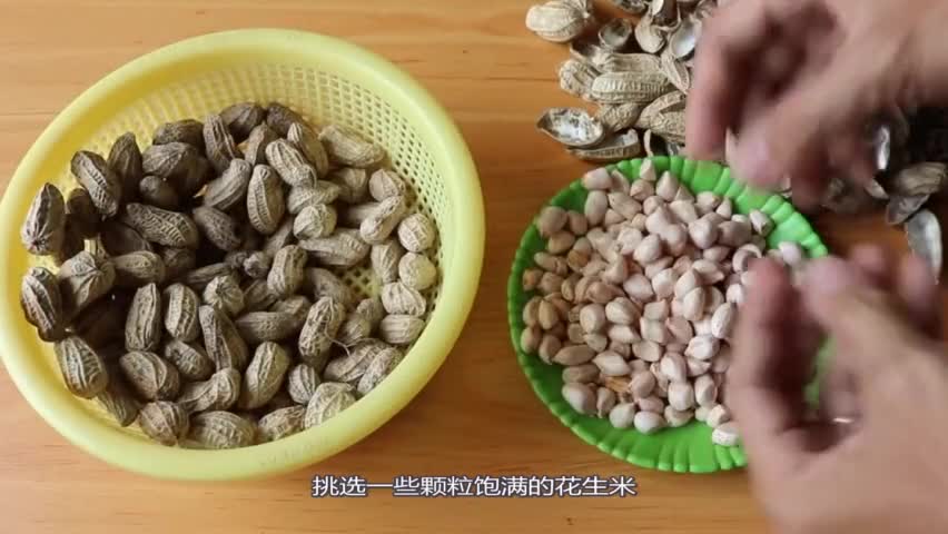 Fresh peanuts are sprinkled all over the pots, which grow densely in a week and explode in a month.