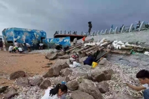 After typhoon,the beach in Qingdao was full of seafood,people were scrambling for it