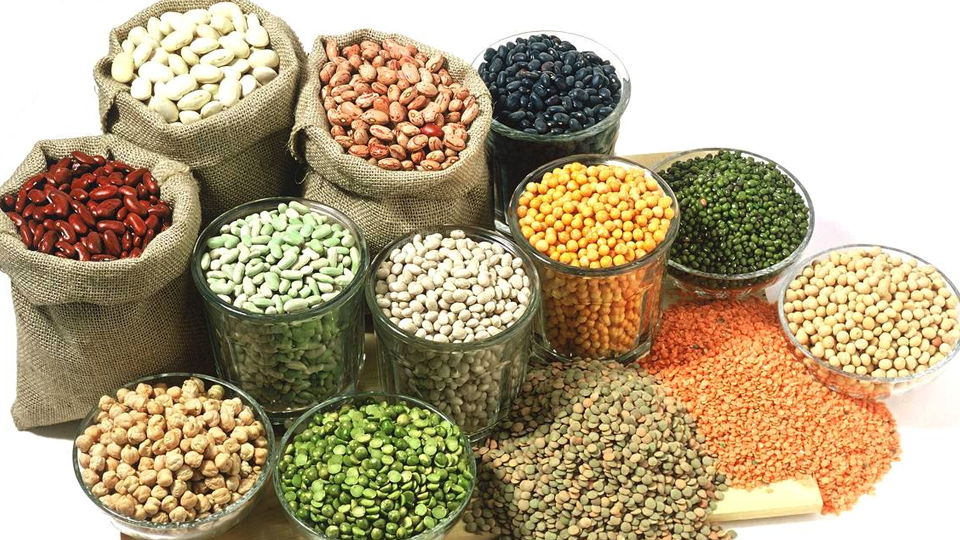 Low calorie, high fibre and high protein, four kinds of legumes for intestinal health care [healthy breakfast]