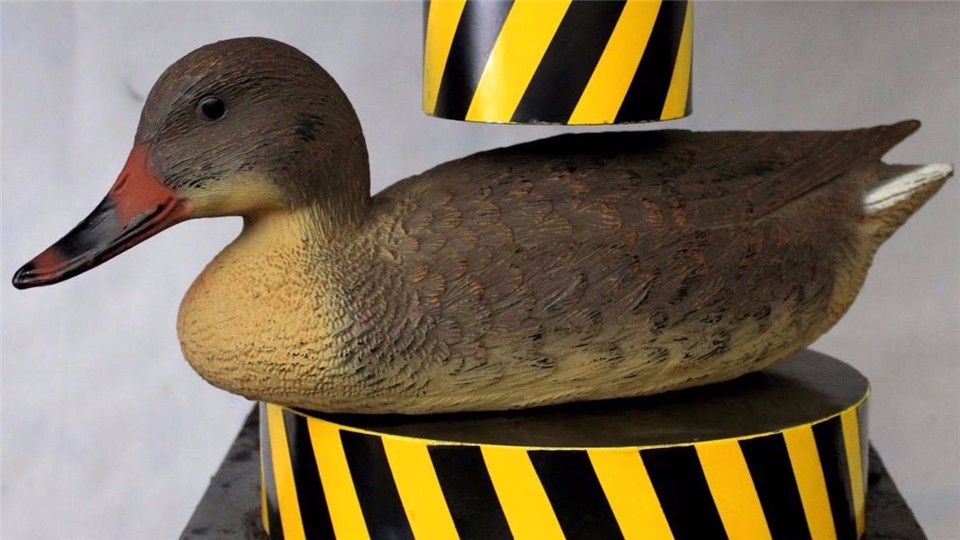Put a duck under the hydraulic press. What happens next?
