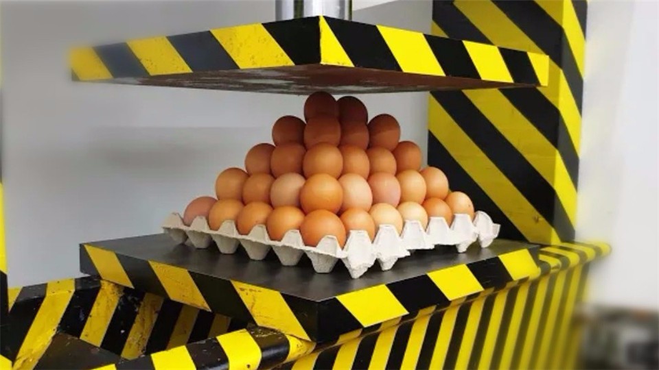 What happens when 150 eggs are put under a hydraulic press? After reading, feel good about decompression