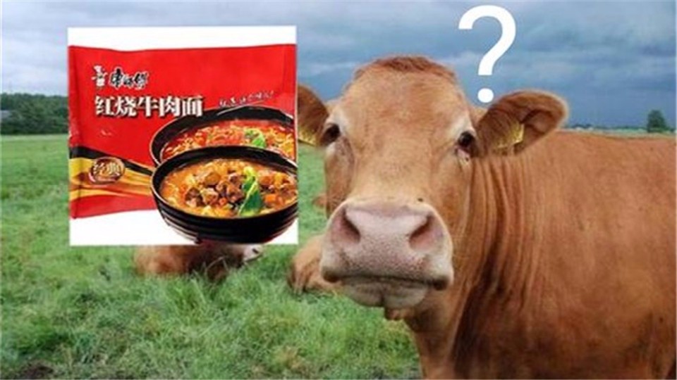 How many cows does Master Kang kill every year for instant noodles? You don't believe it.
