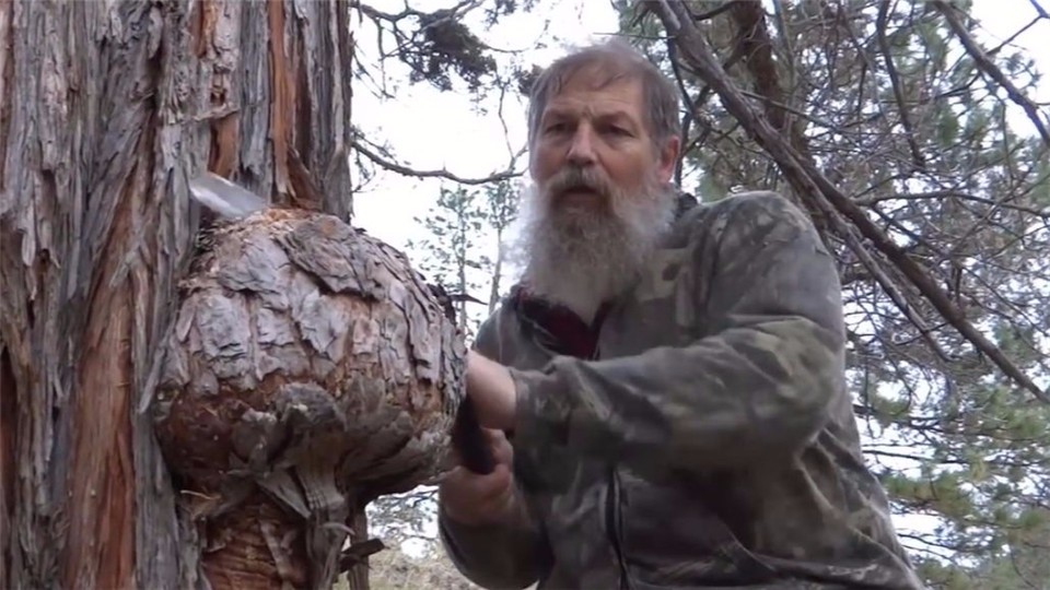Uncle found a tree growth of a tumour, directly sawed down and took it home, after processing, it was amazing.