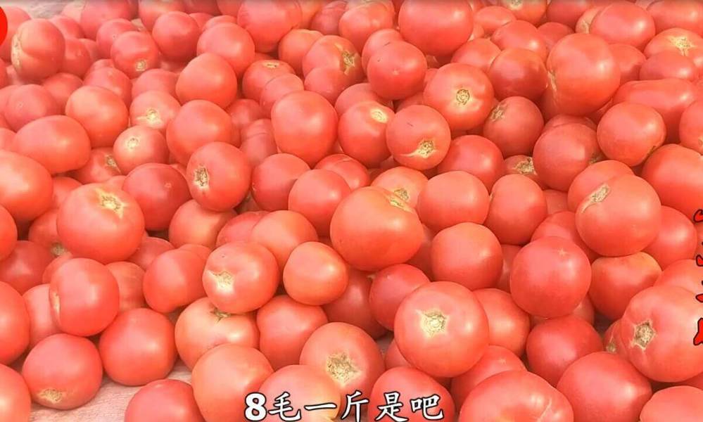 Eight cents and one kilogram of tomatoes are on fire. Teach secretarial new ways of eating. Do not stir-fry or make soup. Breakfast is not greasy for five days.