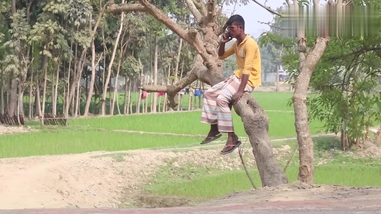 Hindu Country Funny Video Collection, sitting under a tree and being pulled down directly, haha