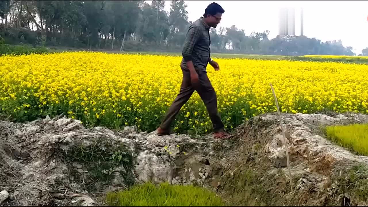 India Rural Funny Video Collection