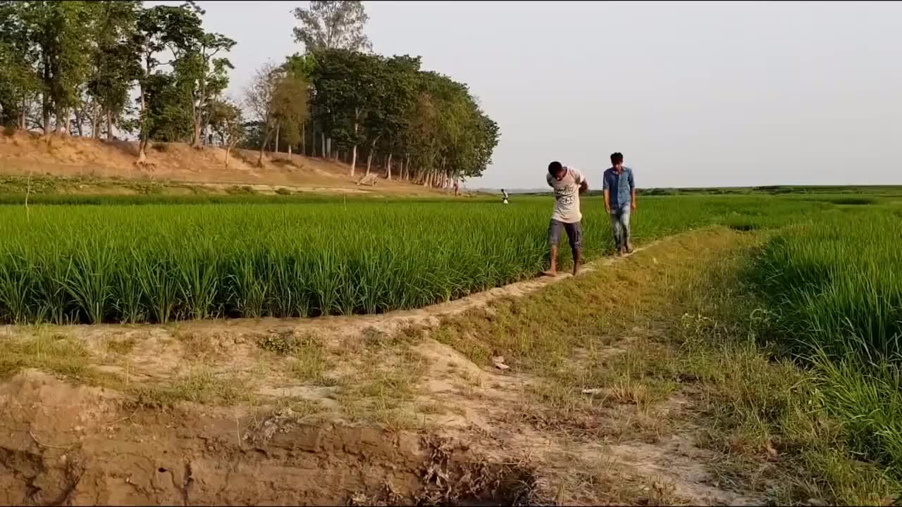 India Rural Funny Video Collection to Heal Your Mood and Make You Laugh