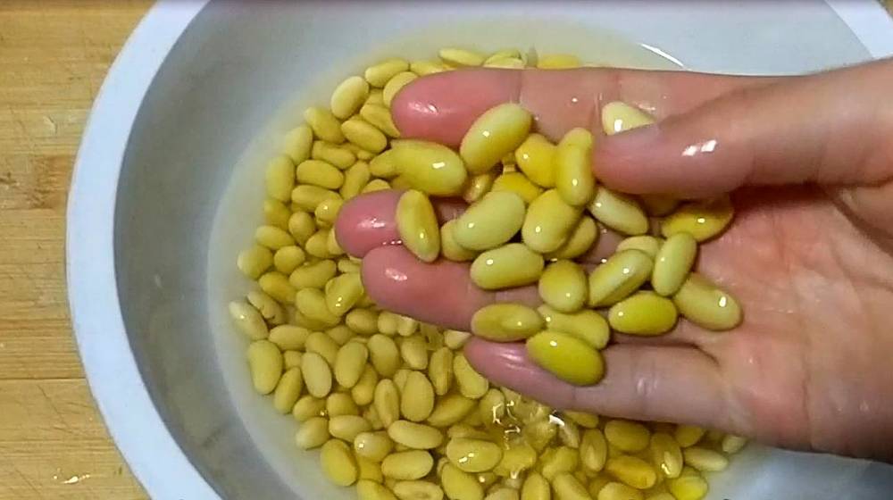 Soybean granules are treasures. Teach you how to cook new foods secretly. Do not boil soybean milk, do not boil porridge, and make a pot of saliva.
