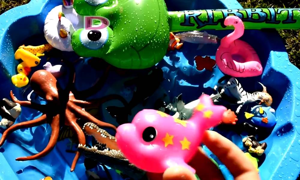 Enjoyment Zoo takes you to know dolphin toys for marine animals
