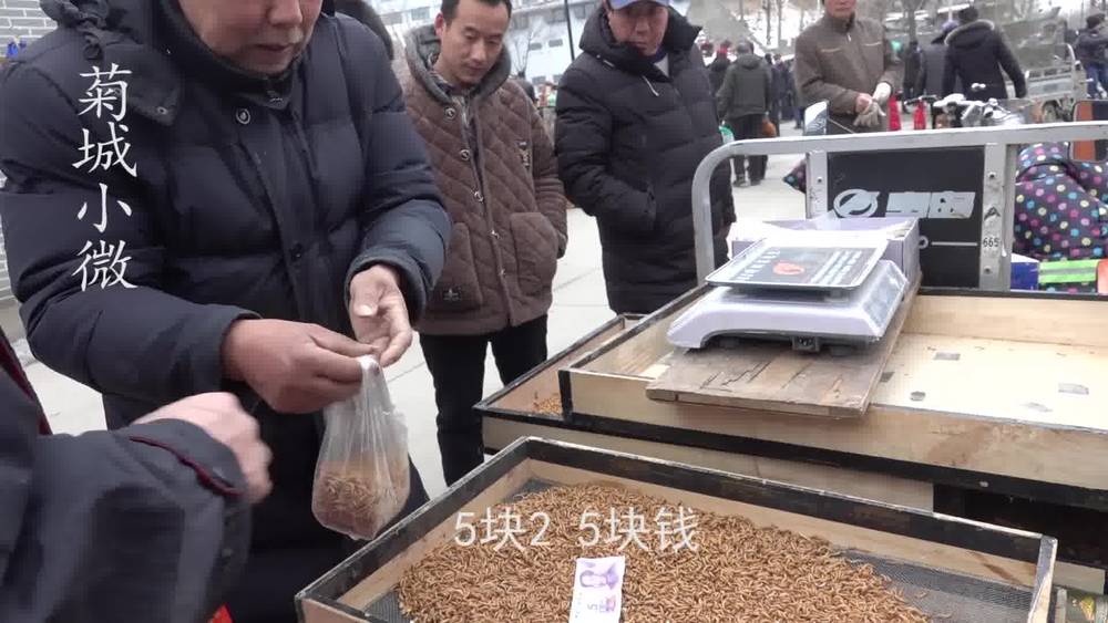 What do you sell in Kaifeng Old Master Bird Market? One person monopolizes the whole Kaifeng market. The Masters are waiting to buy it.