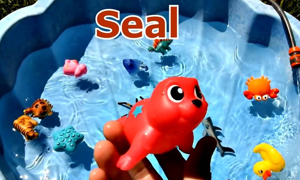 Enjoyment Zoo teaches you seals toys in the ocean