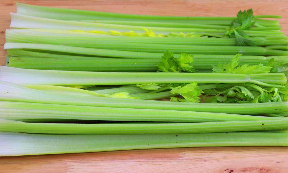 Since I knew celery could do this, I cooked 2 kilograms of celery at a meal, which tasted more fragrant than meat.