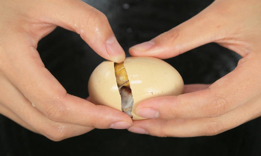 One dollar and one egg, when she picked it apart, she found that the egg was unusual.