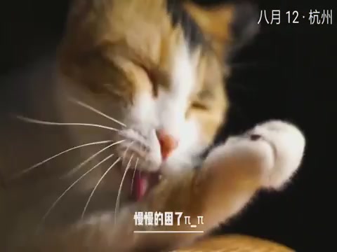 On-line cloud touch cat, have him feel life has reached its climax