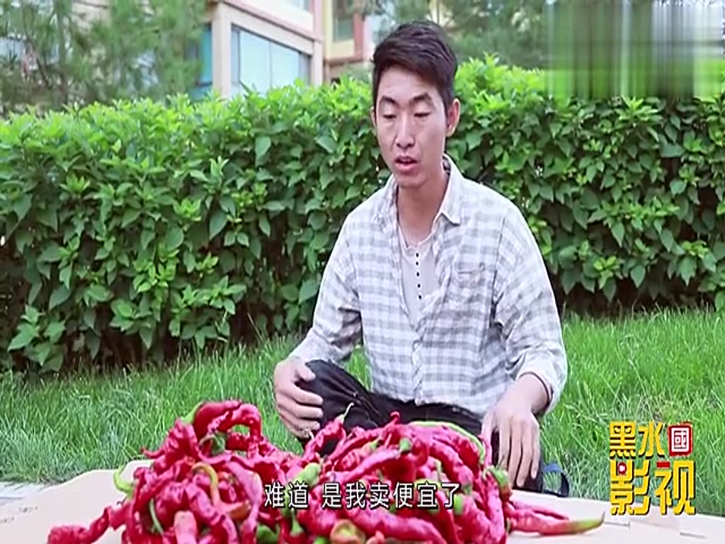 Men sell chili peppers, 2 yuan a kilo is not bought, up to 20 yuan a kilo is robbed directly, long experience.