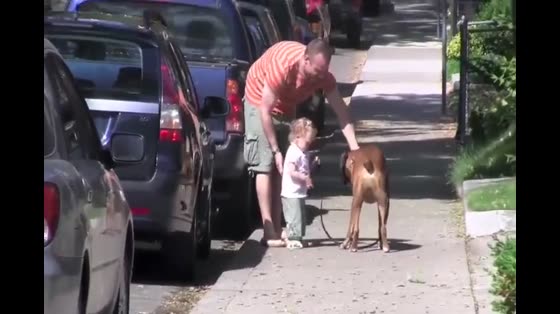 The baby walks the dog with a rope for the first time and turns back from time to time. Don't lose it.