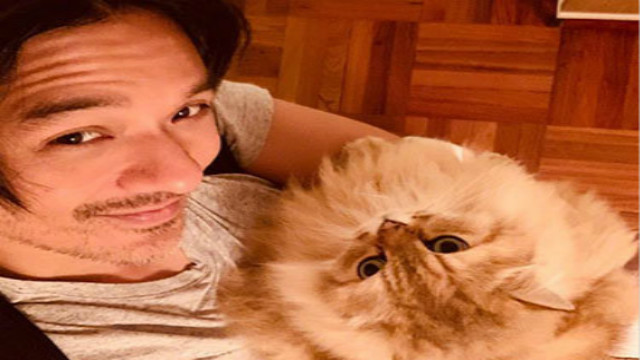 Shu Qi sunbathing cat Feng Delun is rarely seen in the mirror. The God hugs the cat and mutters his lips. They have a husband-wife relationship.