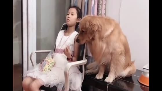 Golden-haired dog likes the snacks in the hands of Miss Sister. This food actually does this thing.