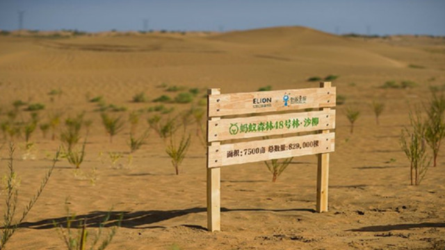 Aerial Alipay ant forest: 3 years, 500 million people really planted hundreds of millions of trees in the desert.