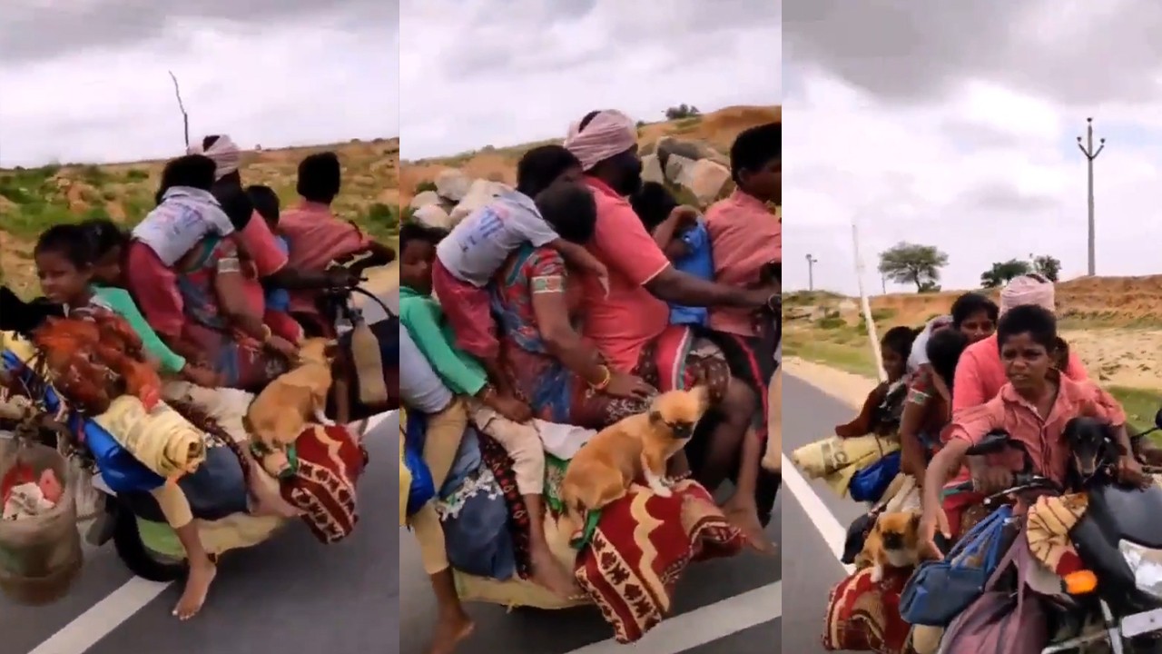 India is hanging up again! A family of seven squeezes a motorcycle, plus three dogs and a chicken