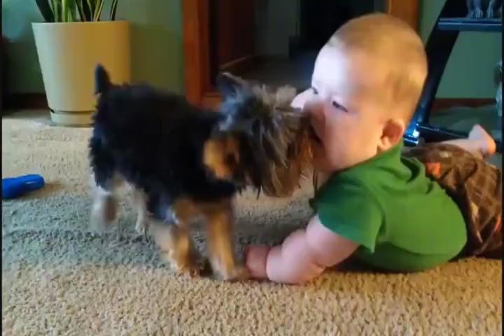 The baby lay on the ground and was snatched away by the dog and the first kiss could not stop. Mom, let's take care of it.