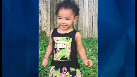 Body Of 2-year-old Nalani Johnson Found Dead In Blairsville