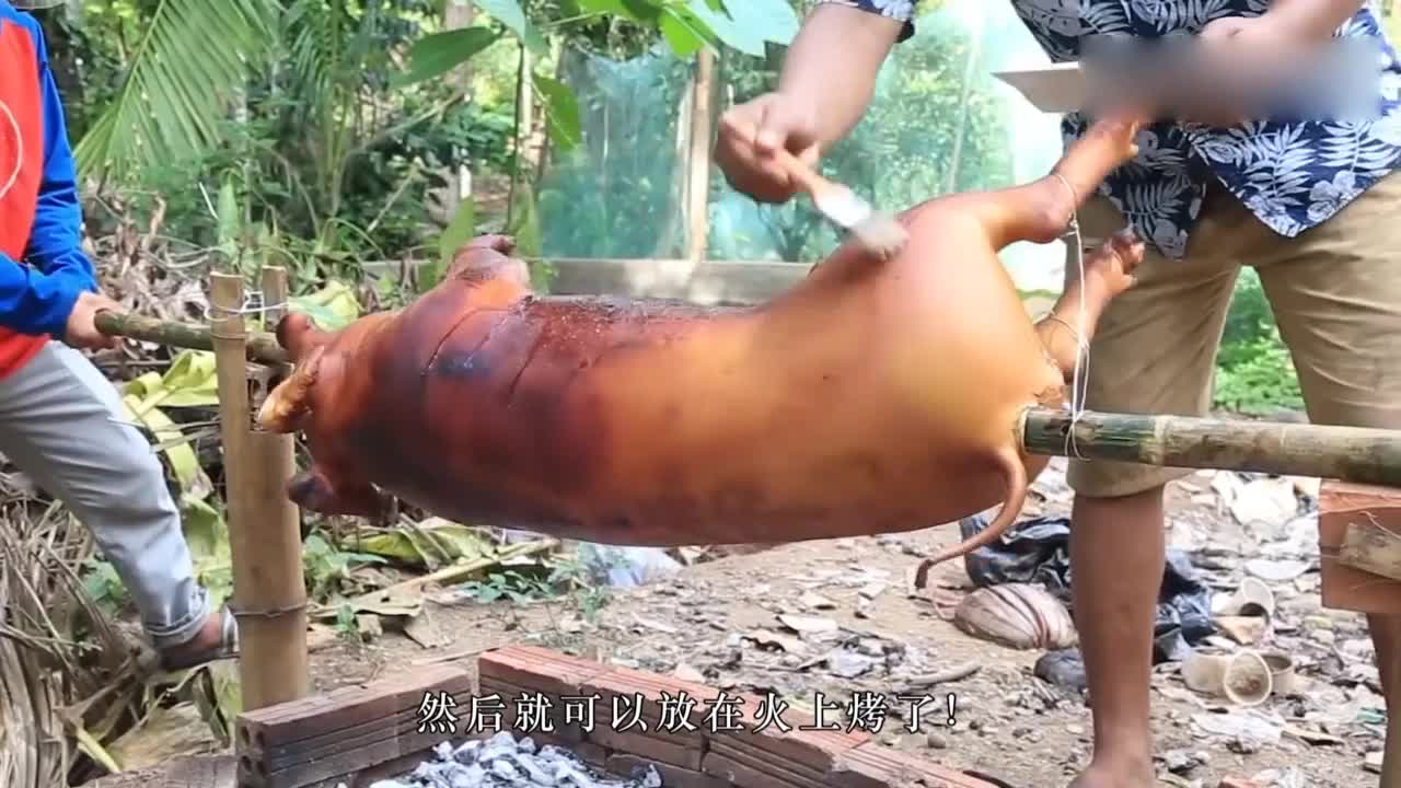 What kind of roast suckling pig will make 40 kilograms of 