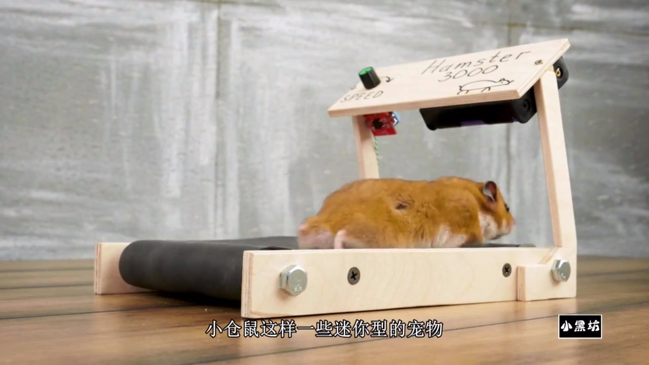 Make a mini treadmill for the hamster and let the lazy hamster move.
