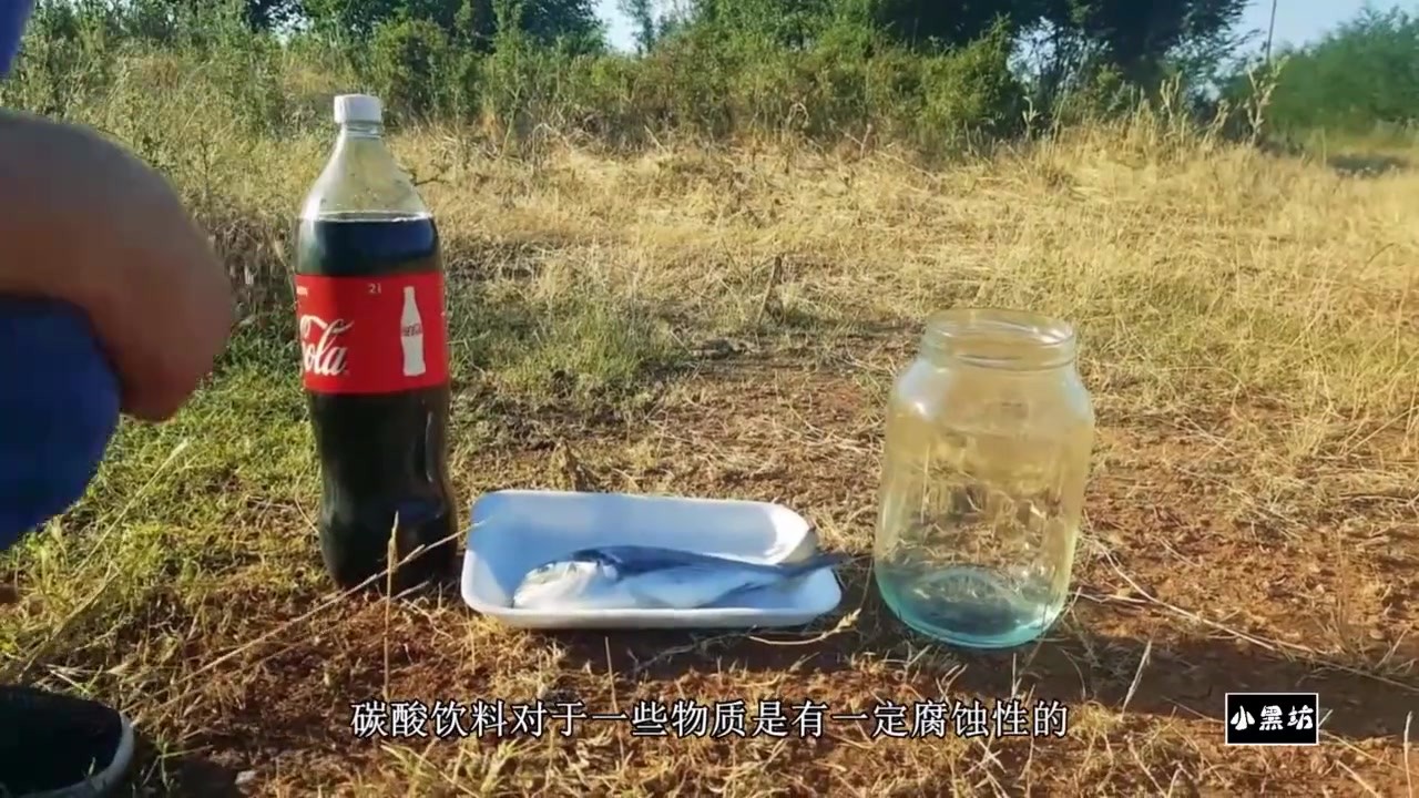 Put the fish in Coke for a month and see what happens and disappear.